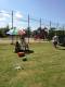 158_img-20170624-143939.jpg
